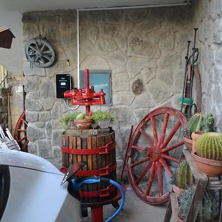 La Tartaruga Viterbo