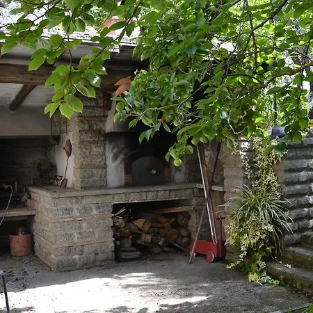 La Tartaruga Viterbo