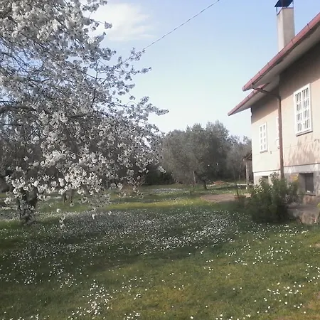 La Tartaruga Casa vacanze Viterbo